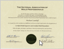 The National Association Of Mold Professionals